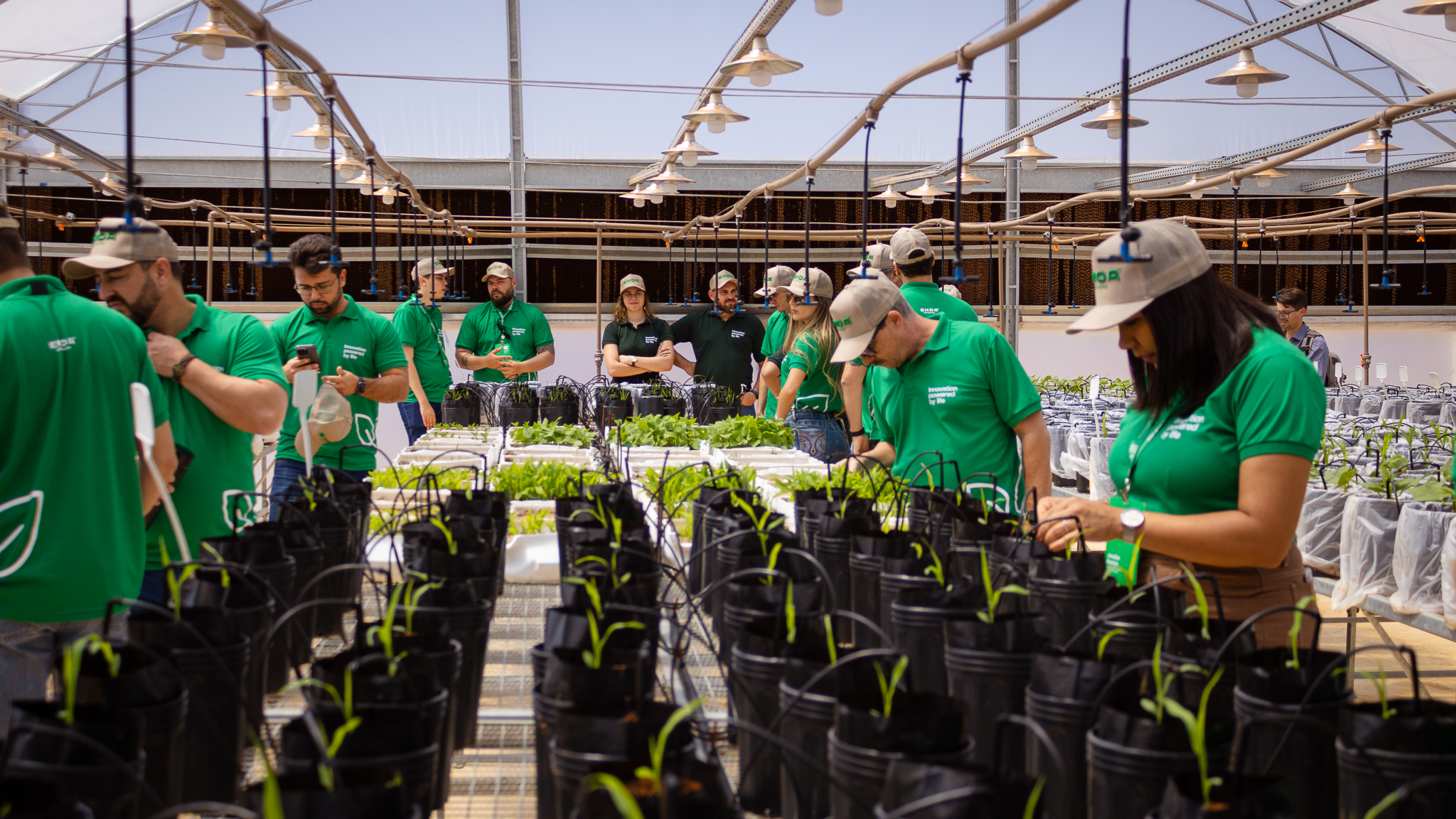 Grupo visitante em area de cultivo durante visita guiada na EKOA